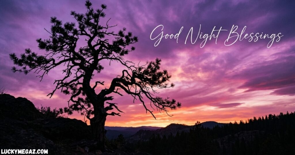 Blessed Good Night Quotes with Good Night Blessings